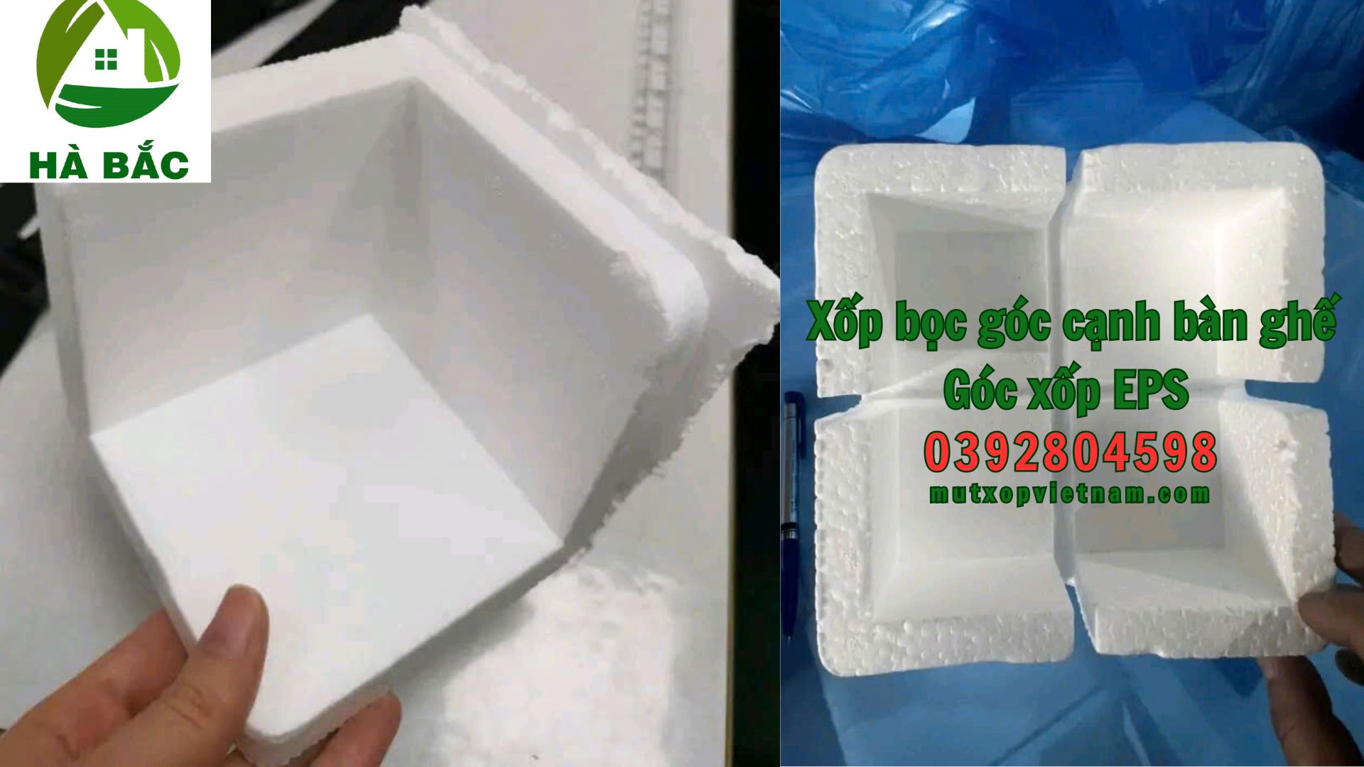 mopxopxopepstytrongcao