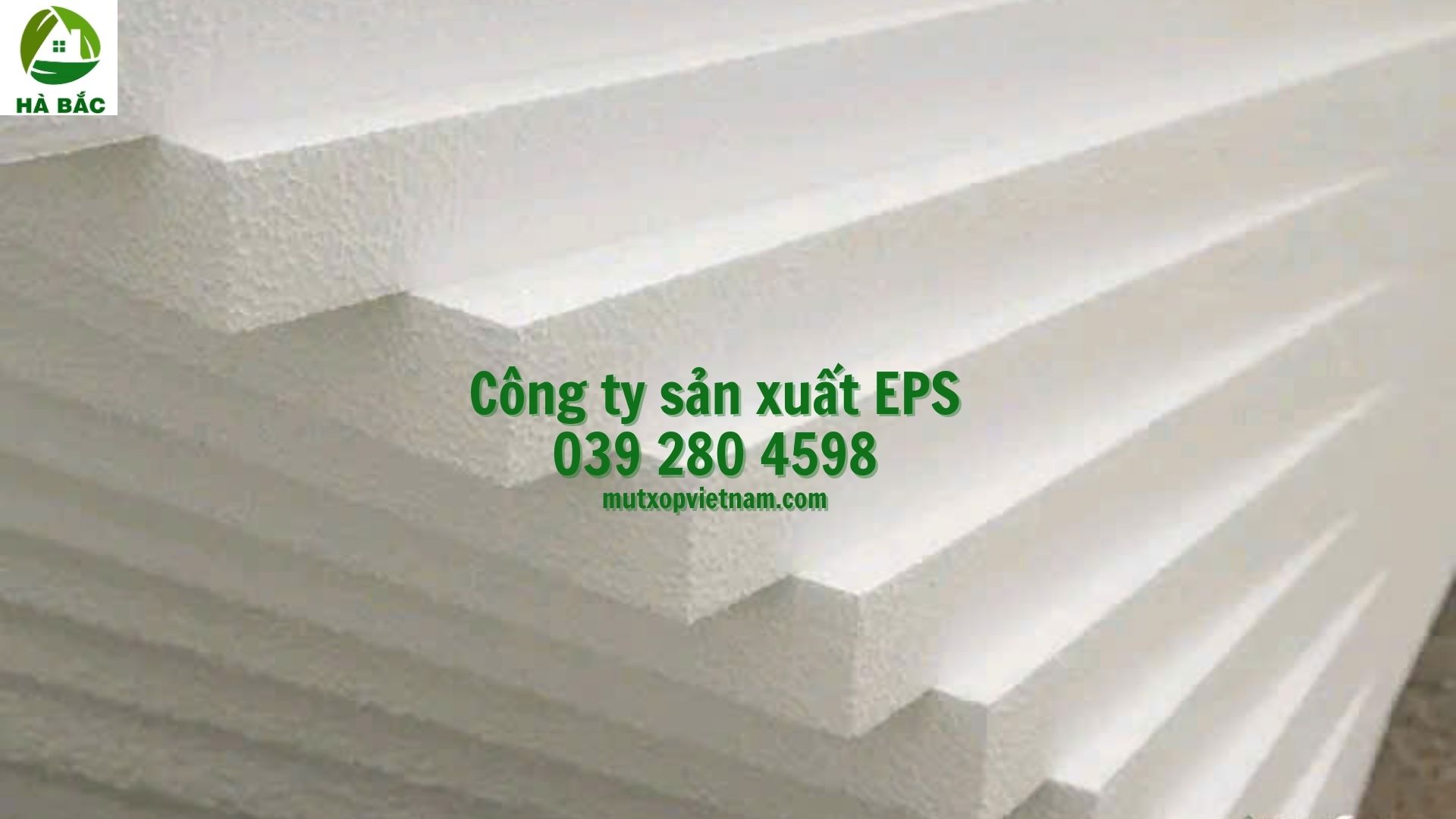 mopxopxopepstytrongcao
