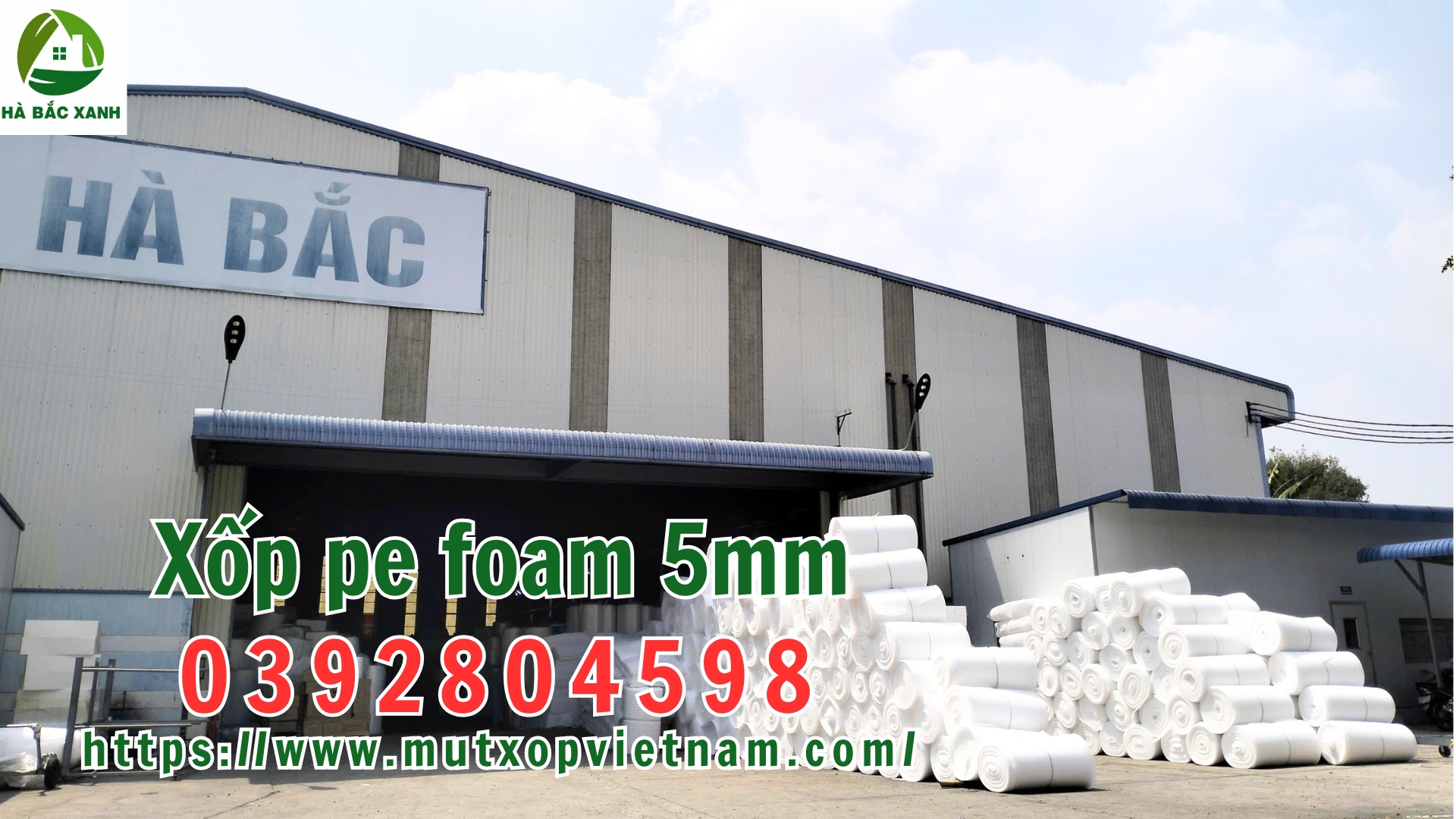 cuon-mut-xop-pe-foam-5mm cuon-mut-xop-pe-foam-5mm