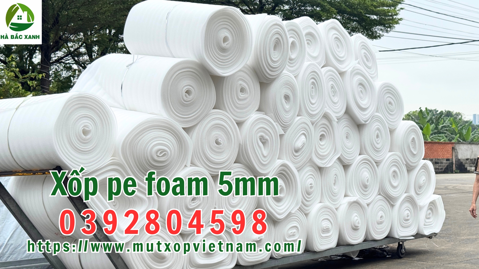 Cuộn Mút Xốp Pe Foam 5mm