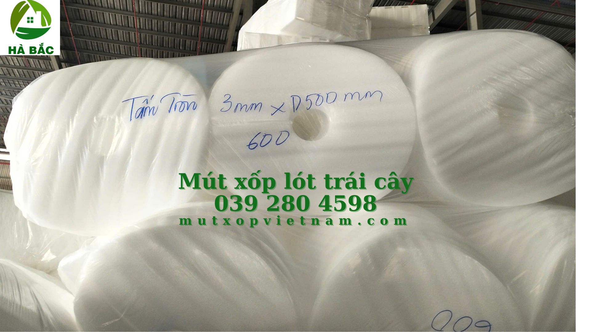 tam-mut-xop-lot-chuoi