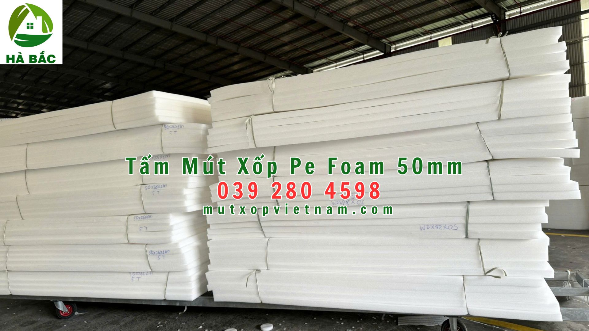 mut-xop-pe-foam-50mm