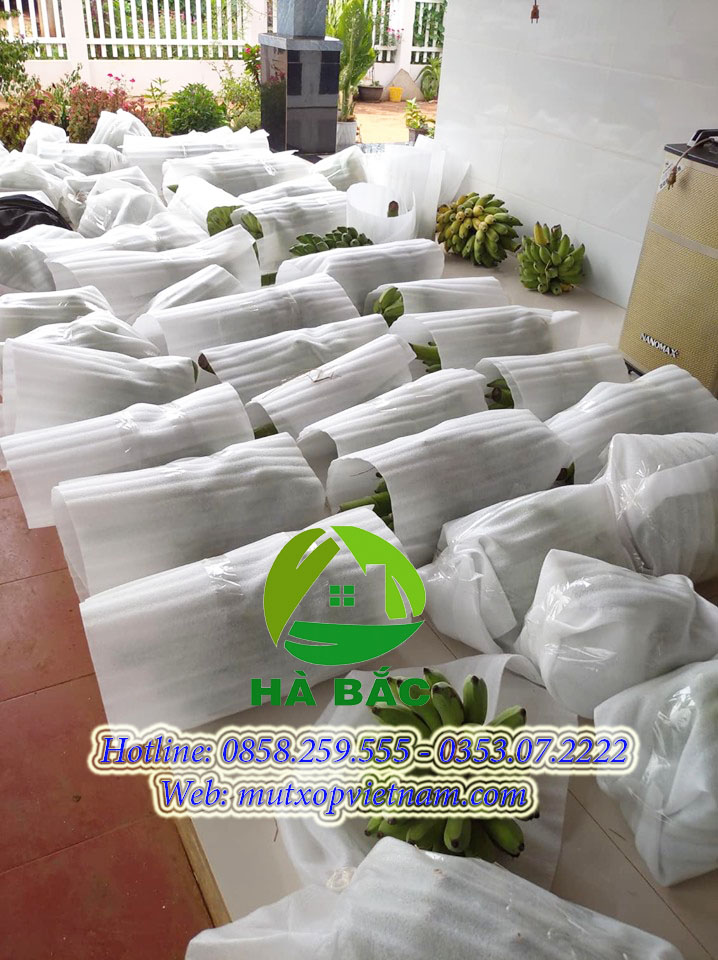 màng xốp bọc chuối