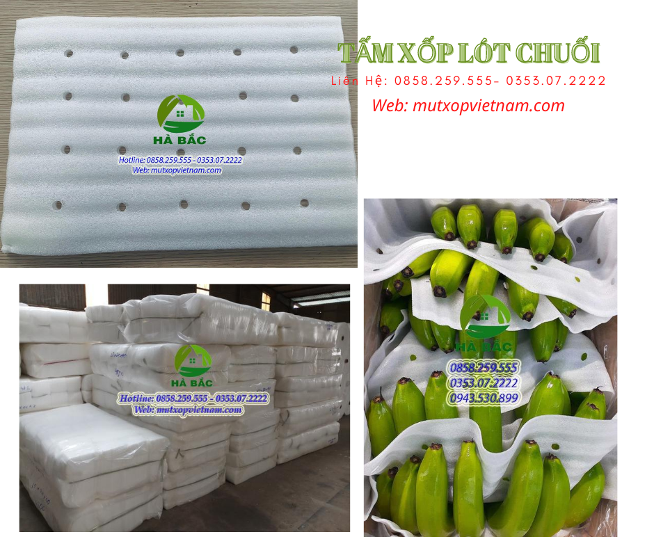 Màng Pe Lót Chuối Xuất Khẩu