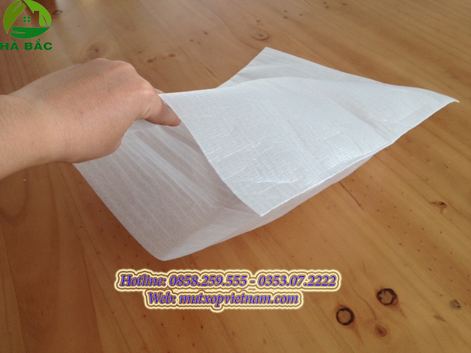 pe foam dạng túi