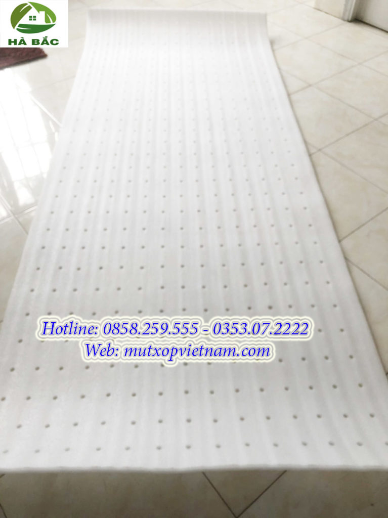 tấm xốp lót dưa hấu