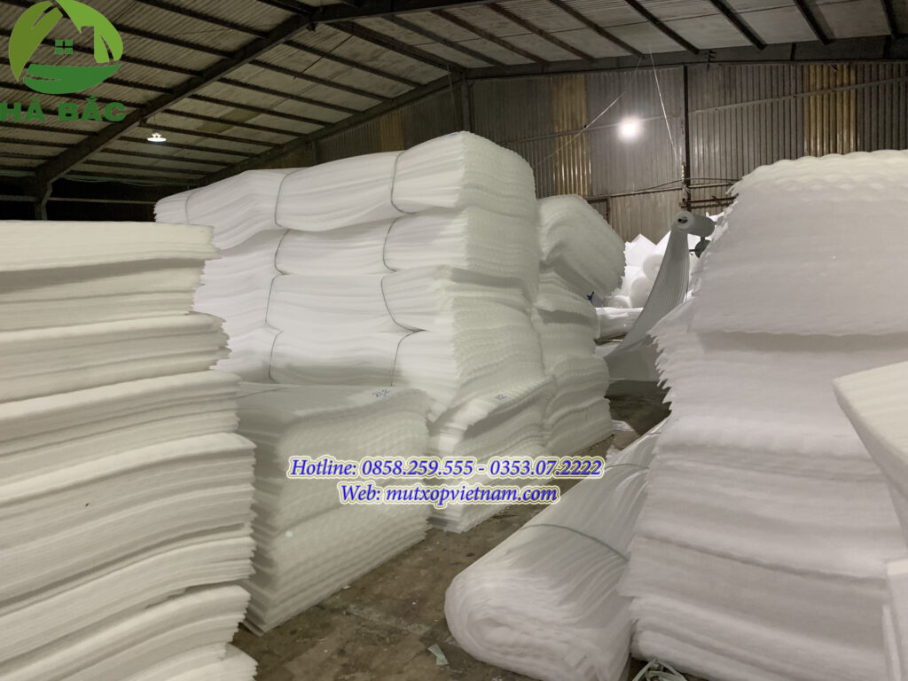 tấm xốp lót dưa hấu