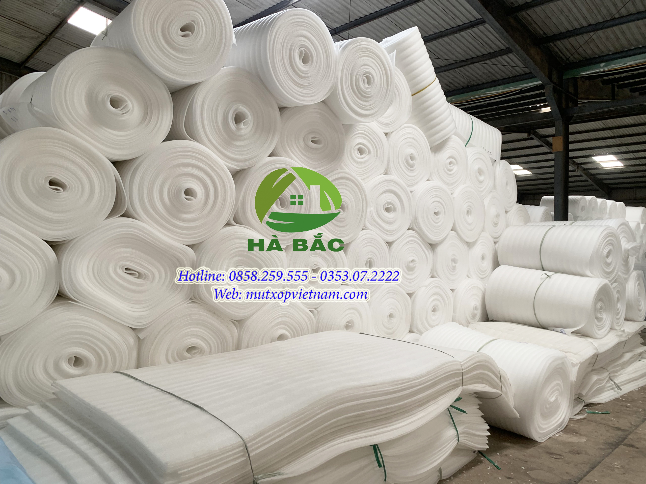 Mút Xốp Lót Dưa Ở Quảng Ngãi