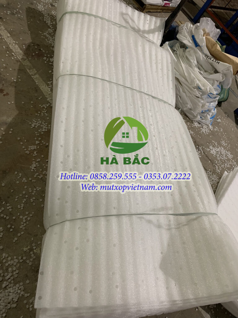 mút xốp lót dưa hấu
