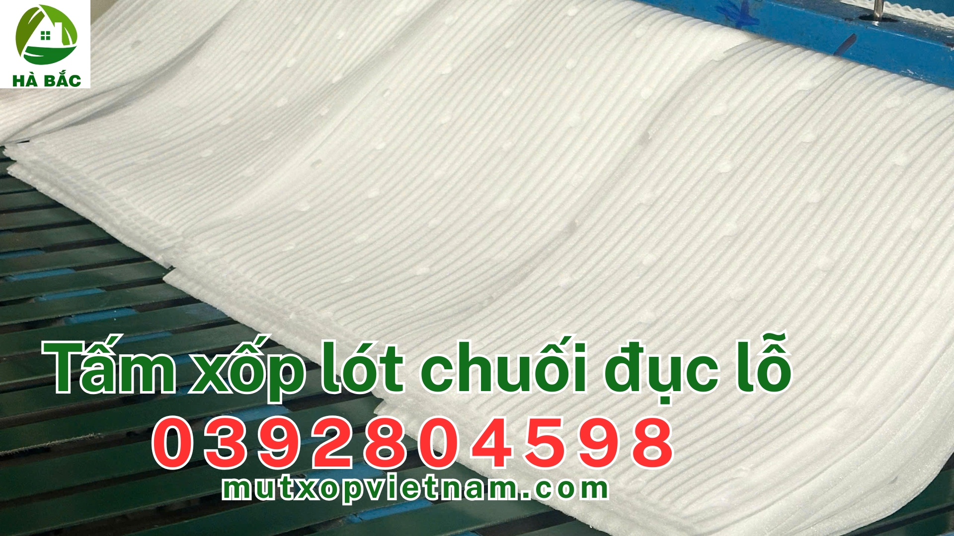 xop-lot-chuoi-duc-lo xop-lot-chuoi-duc-lo