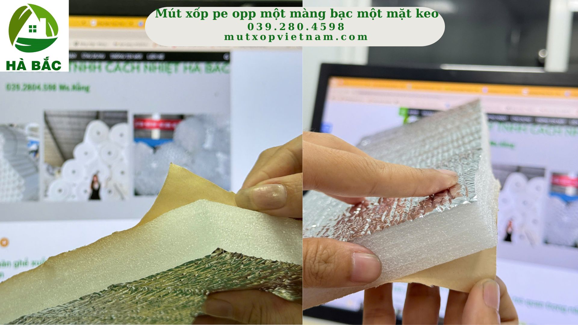mut-xop-opp-mot-mat-bac mut-xop-opp-mot-mat-bac