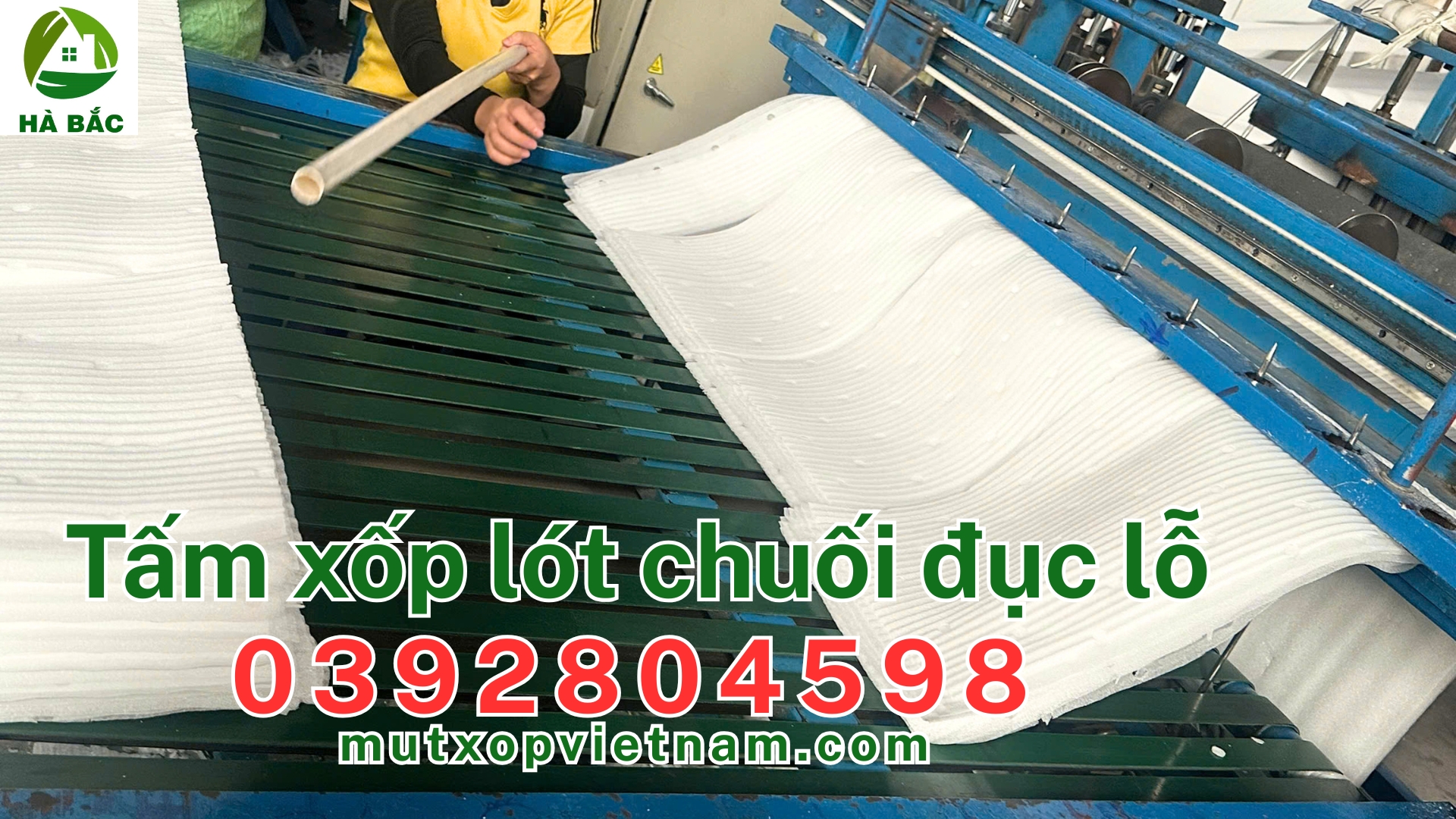 xop-lot-chuoi-duc-lo xop-lot-chuoi-duc-lo