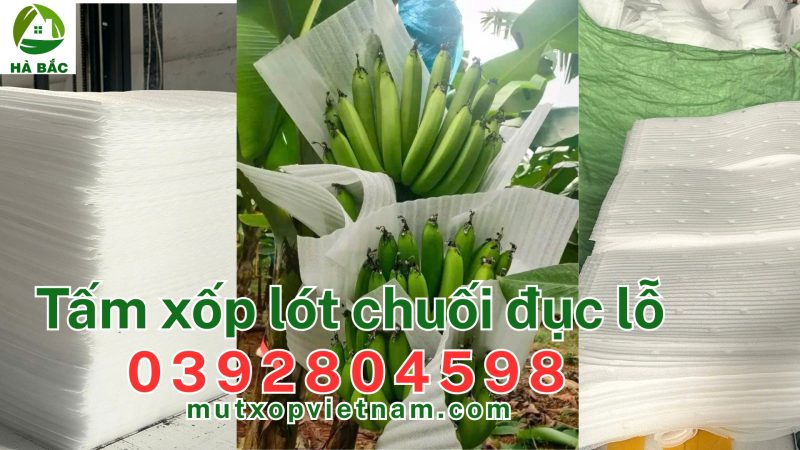 Tấm Xốp Lót Chuối Đục Lỗ, công ty sản xuất lớn đáp ứng yêu cầu đóng gói xuất khẩu quốc tế