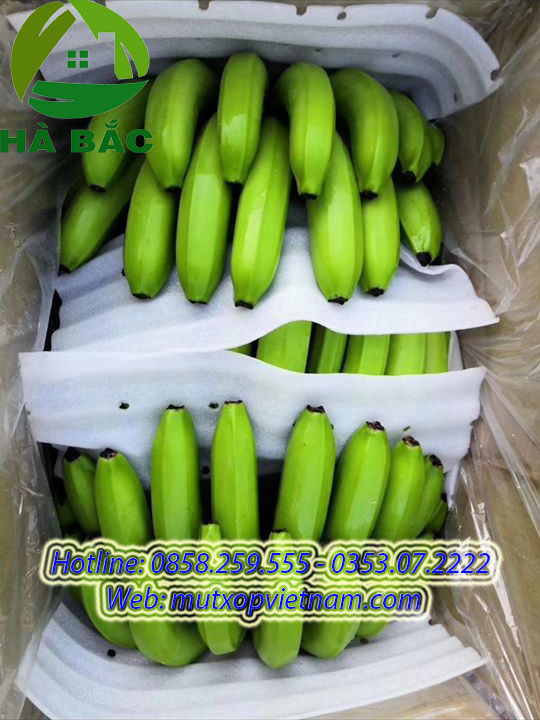 mút xốp chèn lót chuối