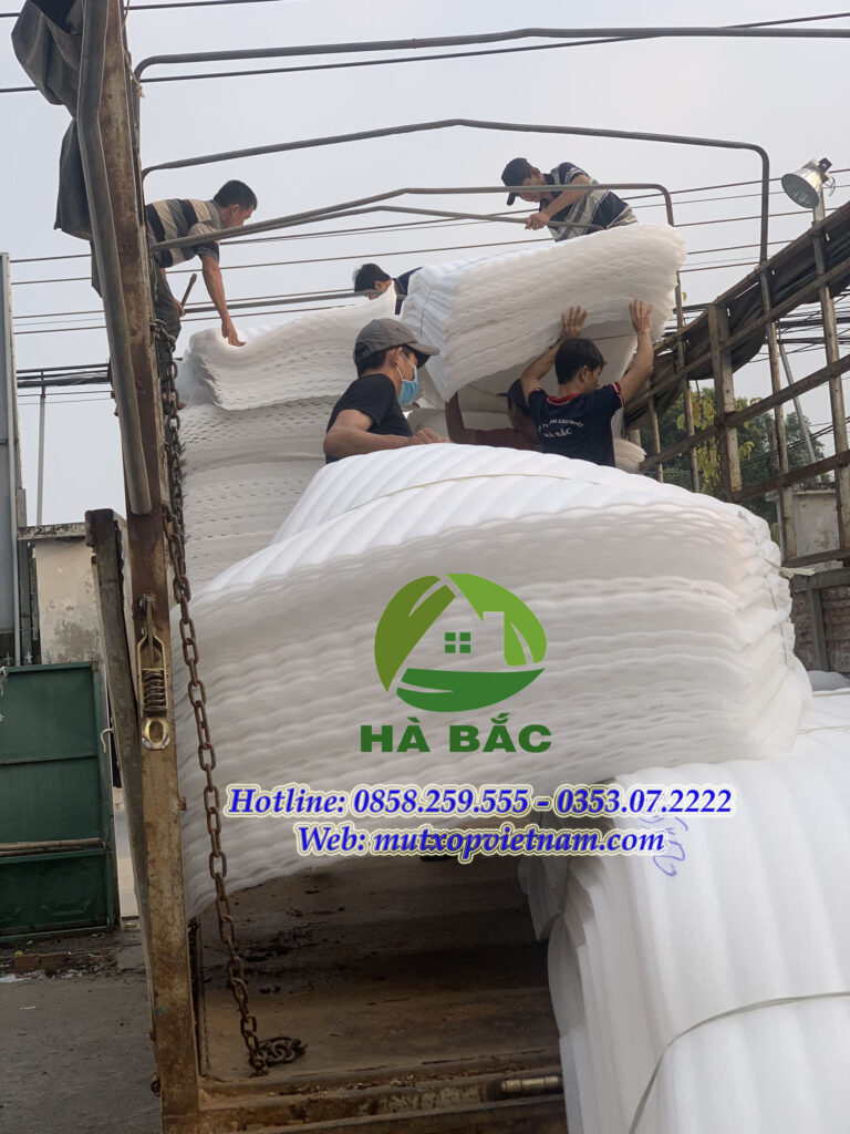 mút xốp lót dưa ở gia lai