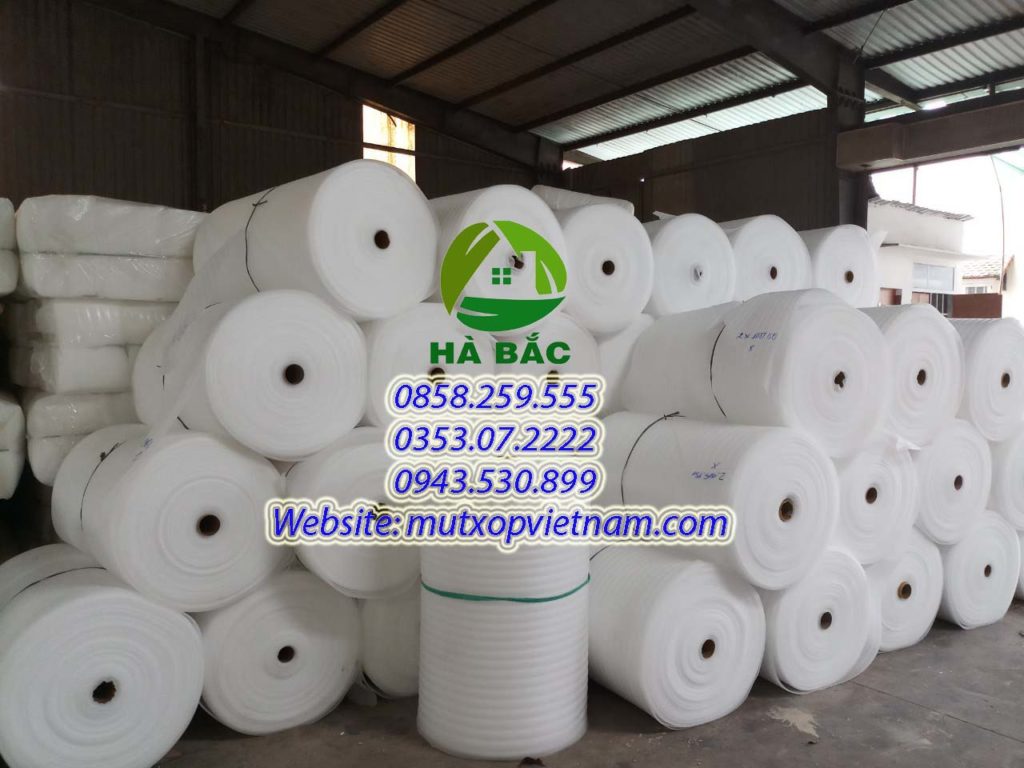 cuộn xốp lót trái cây xuất khẩu