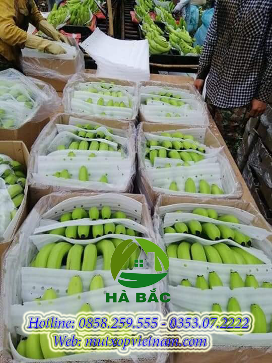 tấm xốp đóng thùng chuối