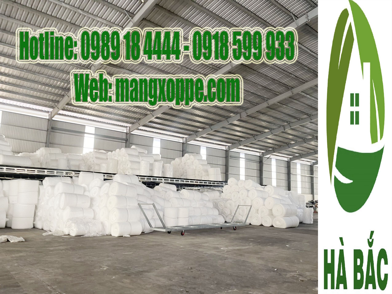 Mua Xốp Cắm Hoa Ở Bình Dương