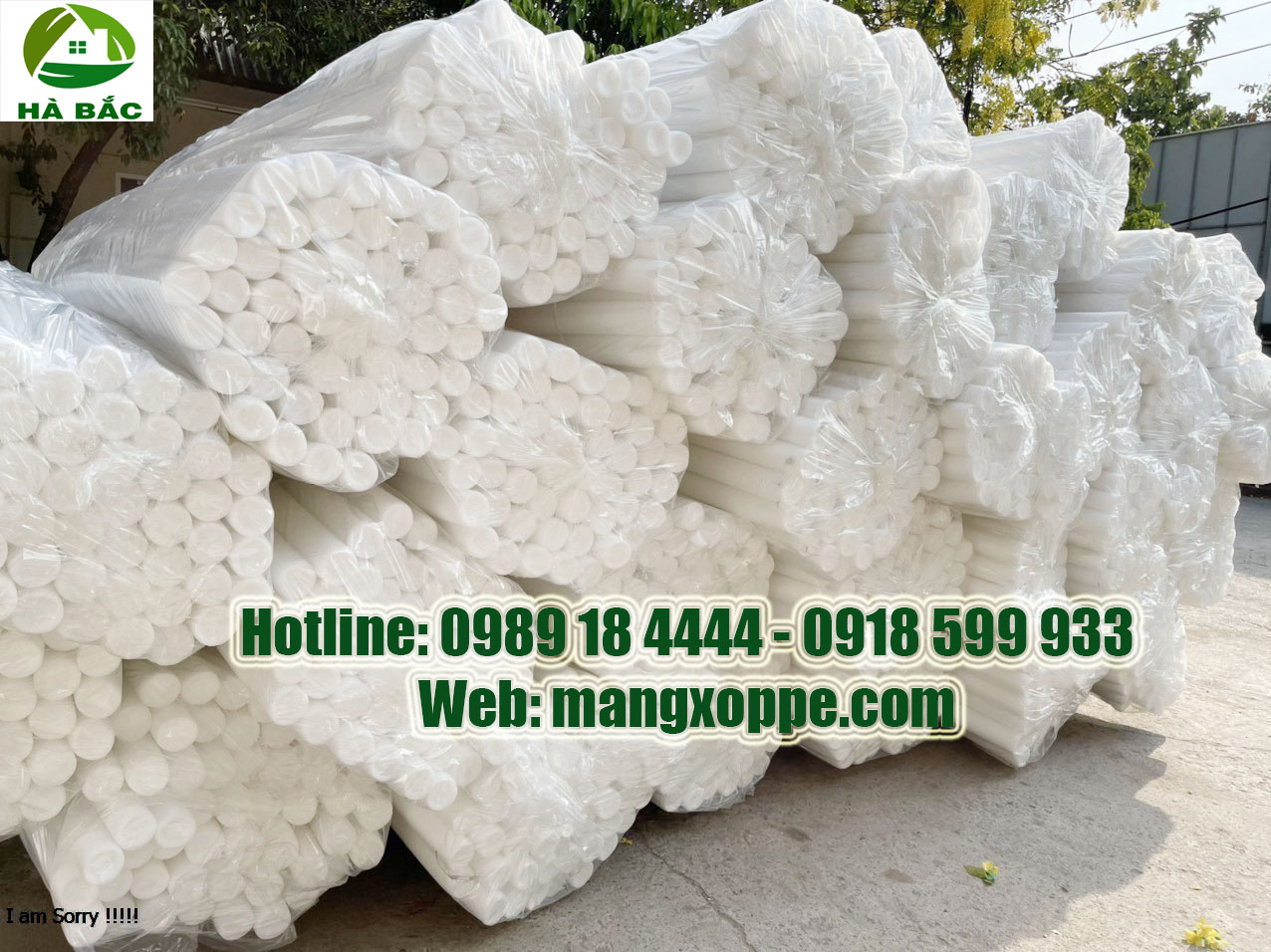 Cây Xốp Đặc Cắm Hoa