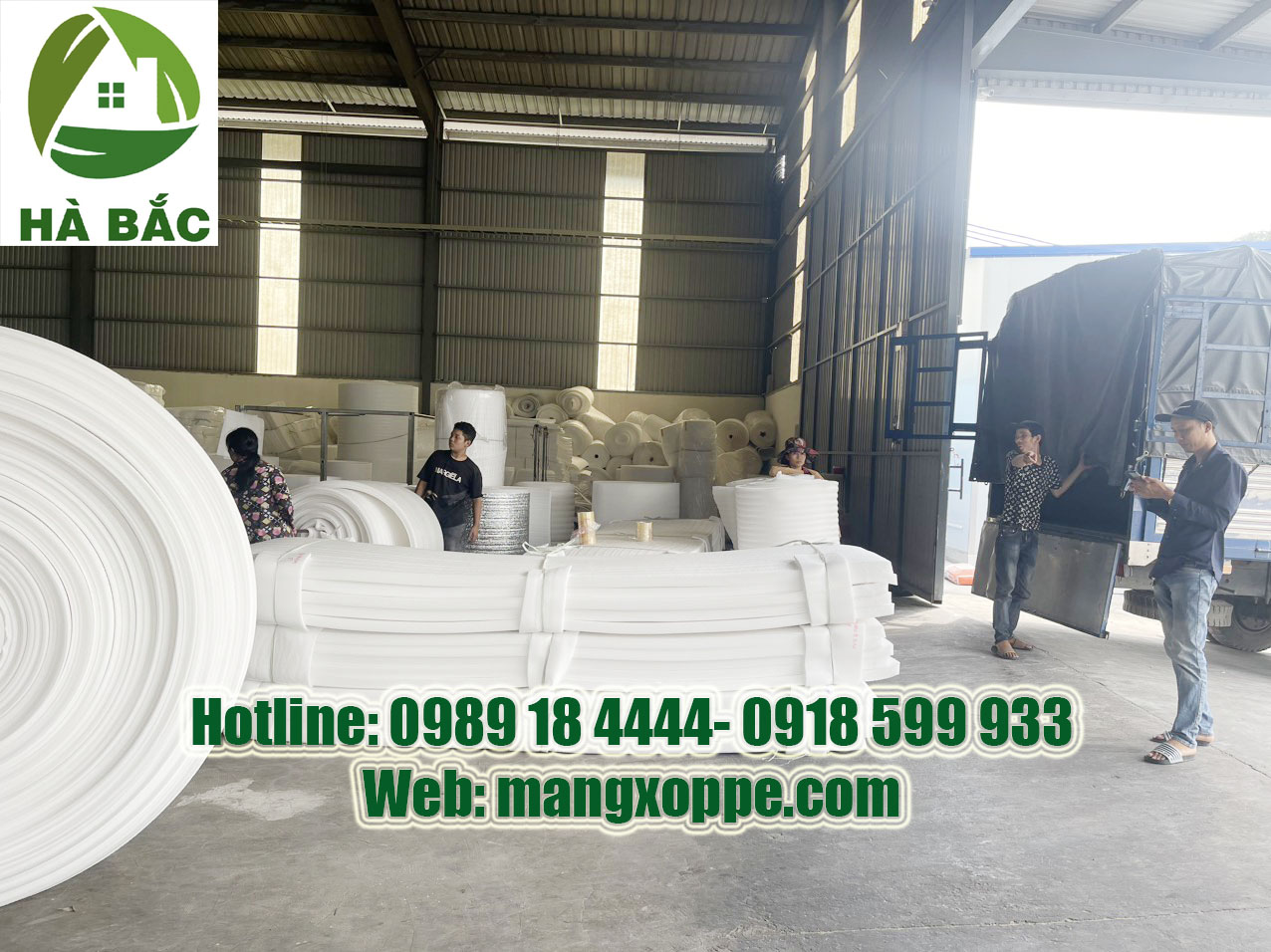 Mút Xốp Lót Xoài Xuất Khẩu