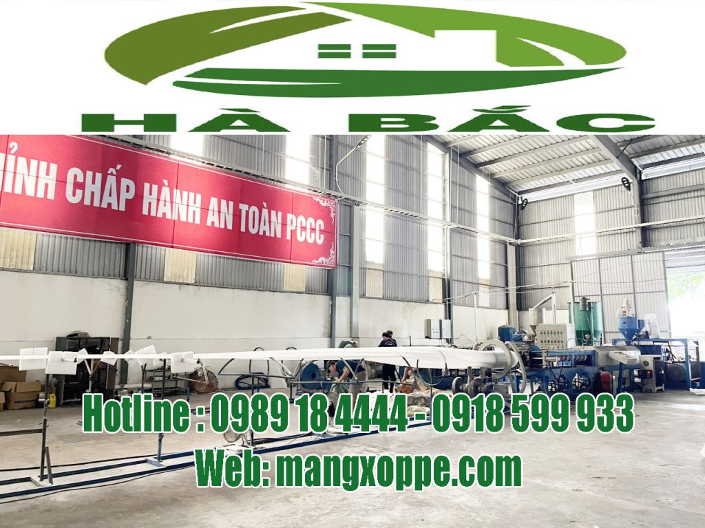 cong-ty-san-xuat-mut-xop-foam-dat-chung-nhan-rohs