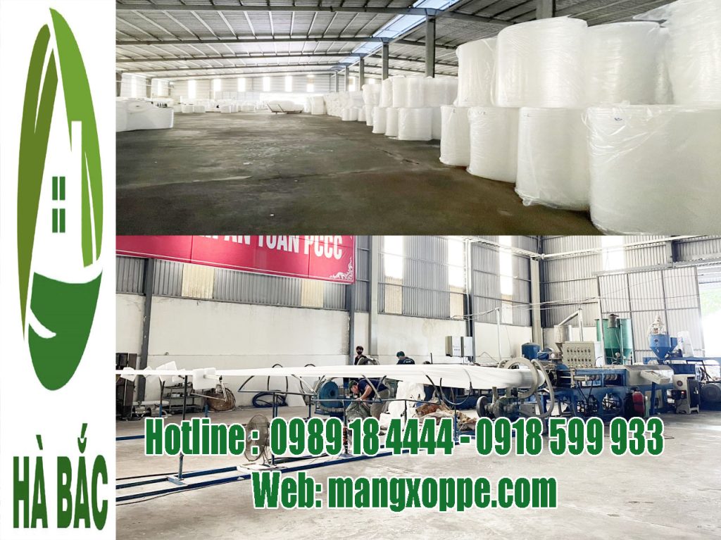cong-ty-san-xuat-mut-xop-foam-dat-chung-nhan-rohs