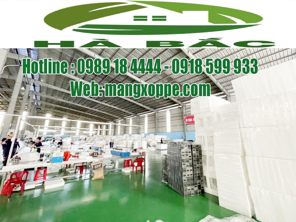 cong-ty-san-xuat-mut-xop-foam-dat-chung-nhan-rohs