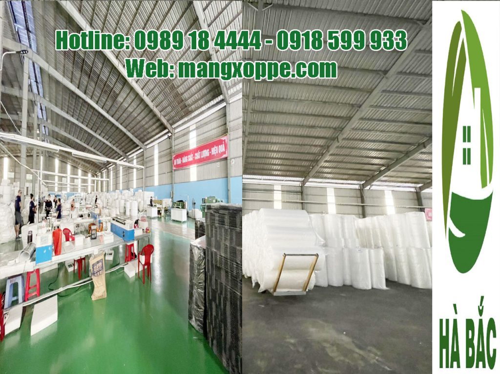 mop-xop-dinh-hinh