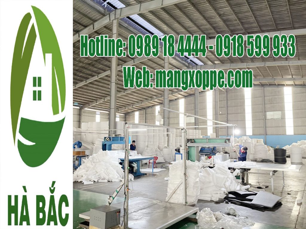 mop-xop-dinh-hinh