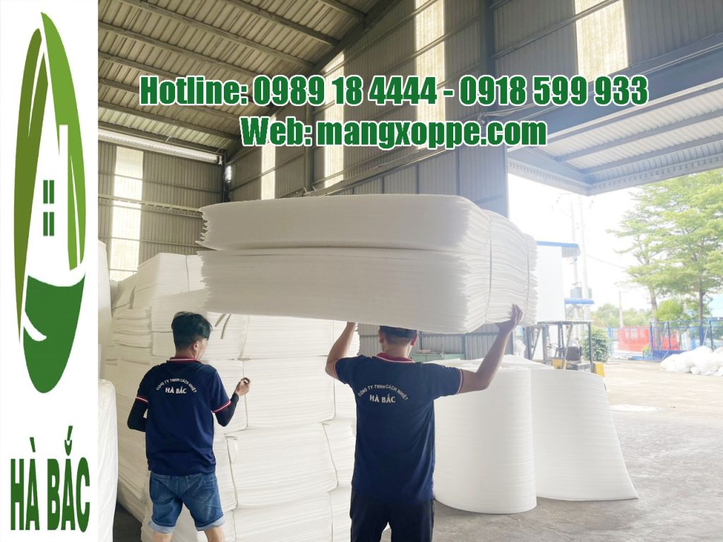 mop-xop-dinh-hinh