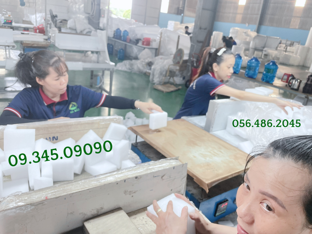 Nhà máy sản xuất khay xốp định hình TP.HCM