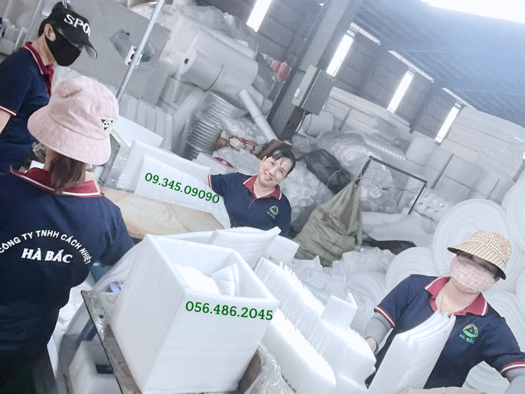 Nhà máy sản xuất khay xốp định hình TP.HCM