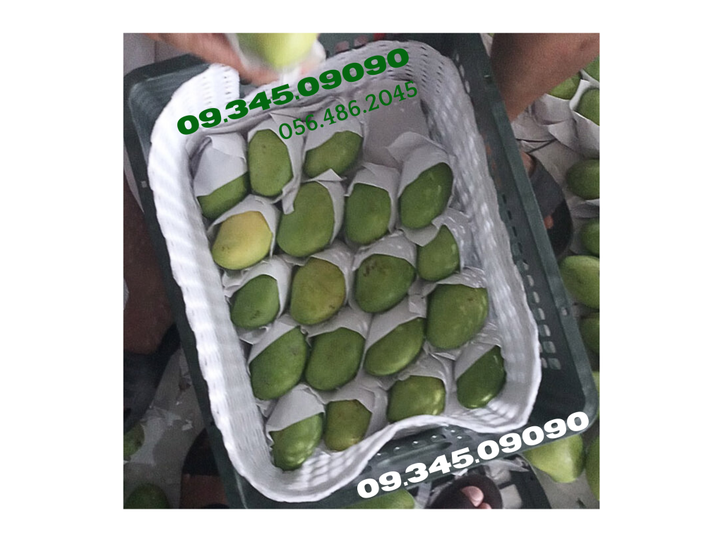 Xốp lót trái cây giá sỉ miền nam