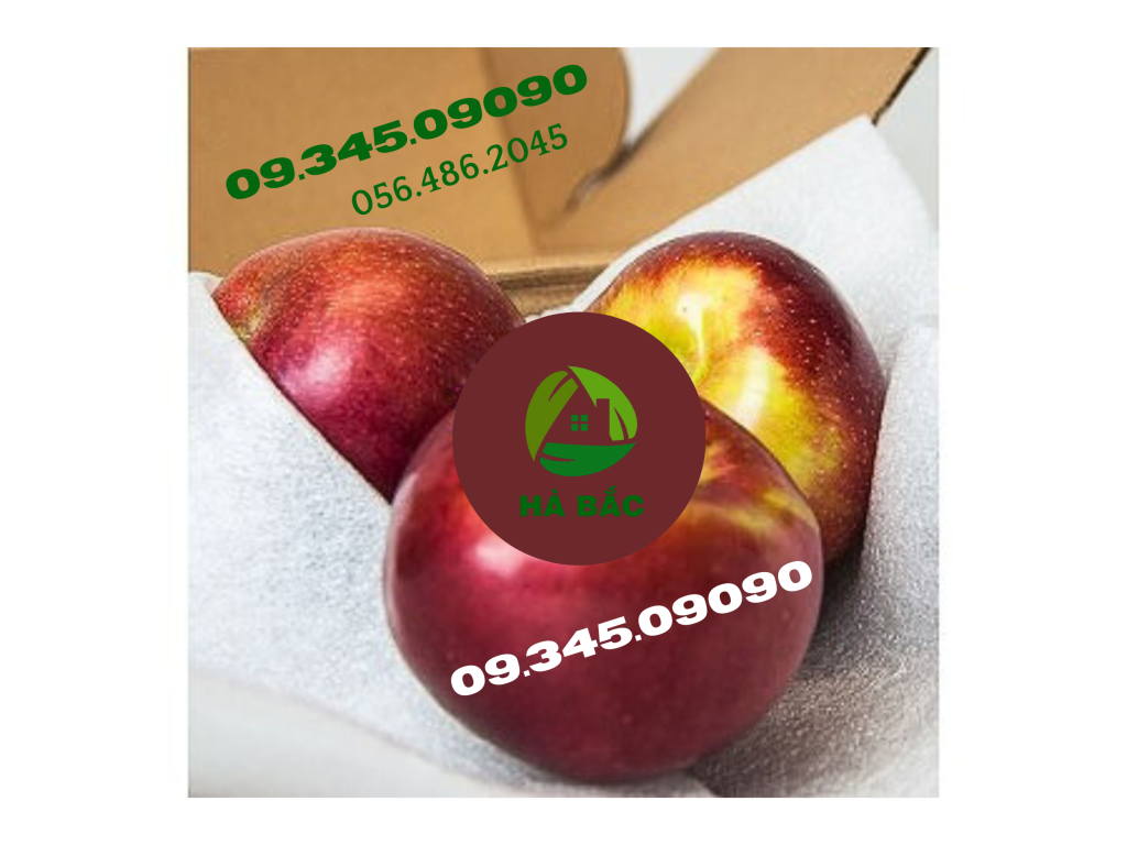 Xốp lót trái cây giá sỉ miền nam