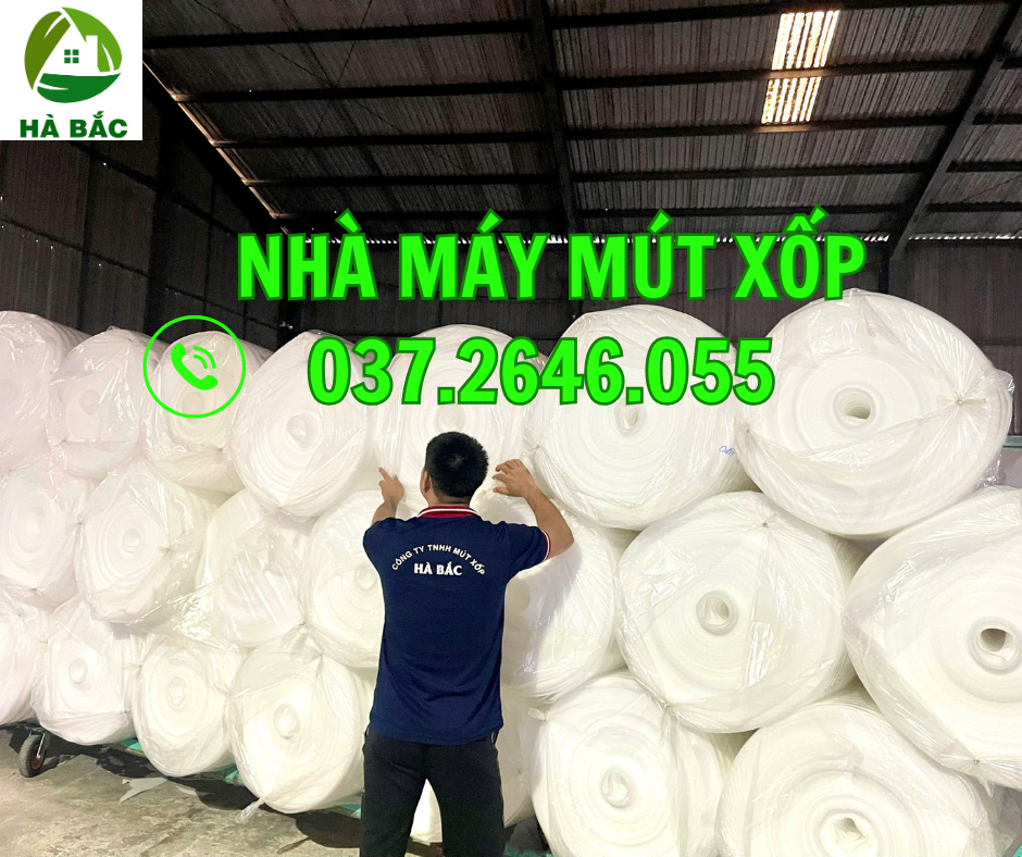 mut-xop-pe-foam-3mm-gia-re-tai-binh-dinh