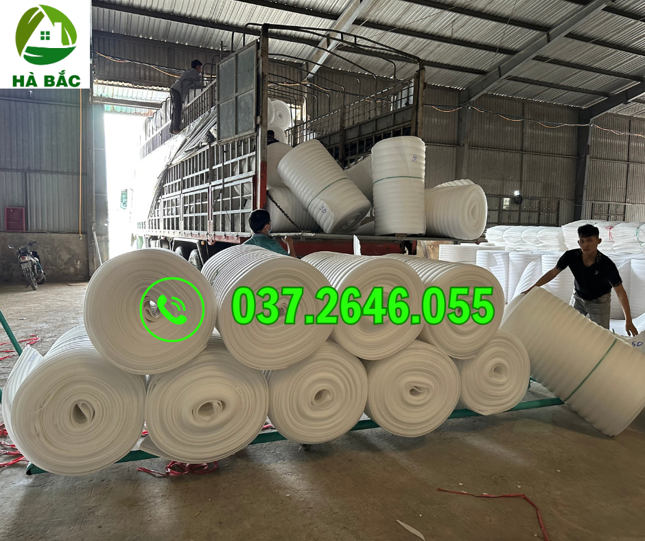 nha-may-san-xuat-mang-pe-foam-tai-binh-dinh