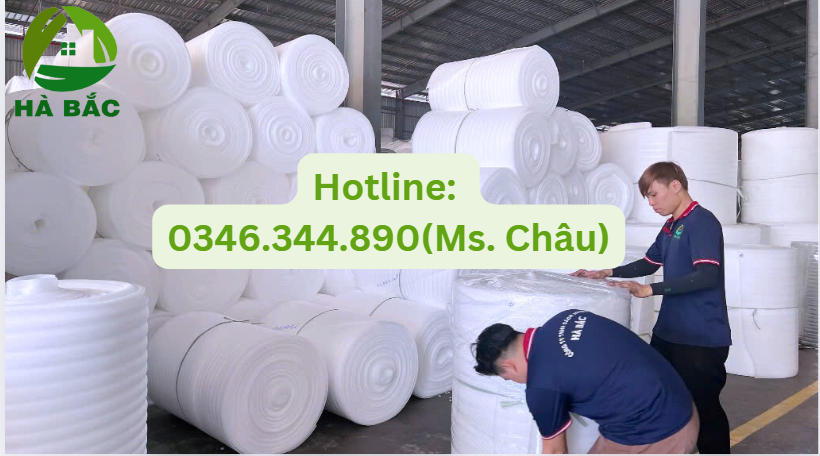 mút xốp lót dưa hấu giá rẻ uy tín số 1 tại Bình Định