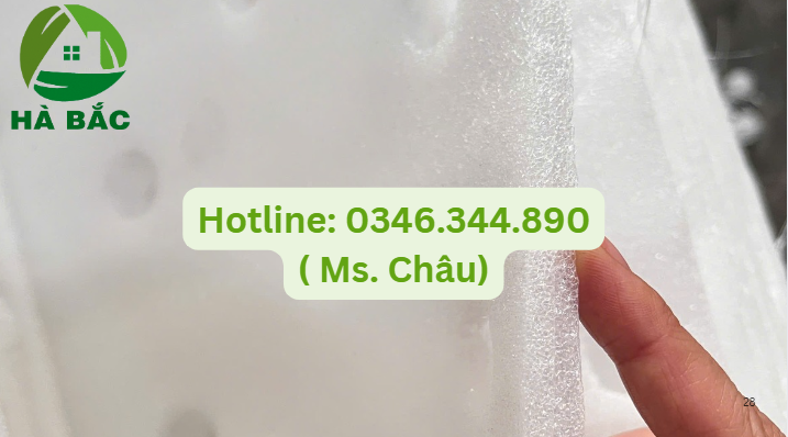 nhà máy sản xuất mút xốp lót dưa hấu