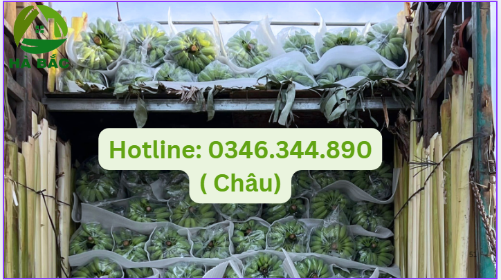 Màng pe foam lót chuối giá sỉ tại Gia Lai