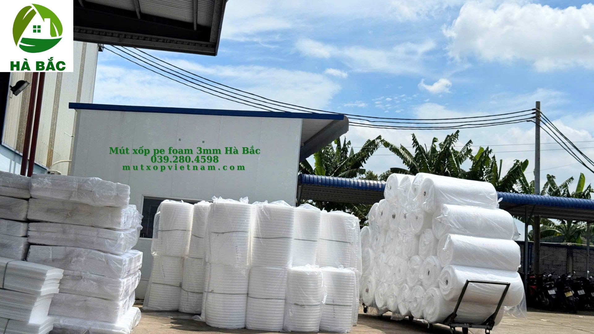 mut-xop-pe-foam-3mm