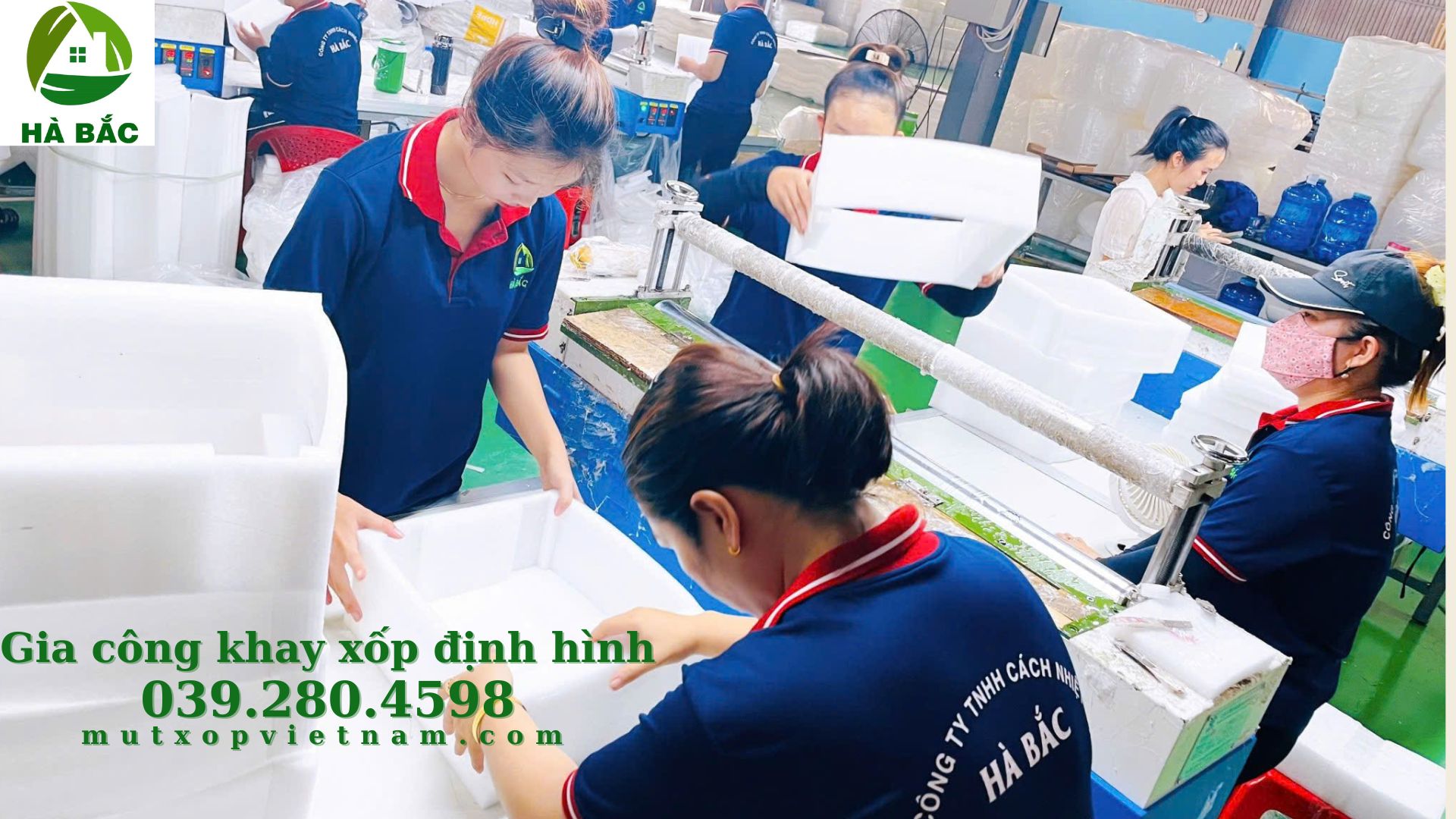 khay-xop-dinh-hinh-dap-khuon-theo-ban-ve