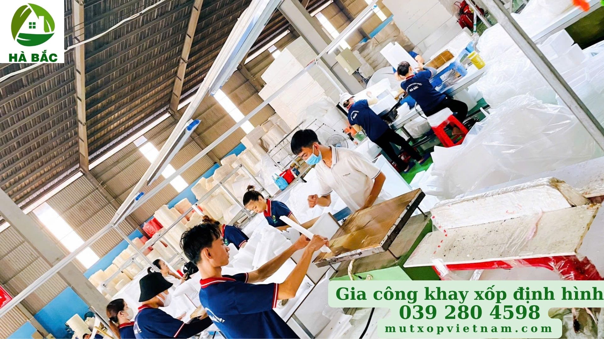 khay-xop-dinh-hinh-dap-khuon-theo-ban-ve