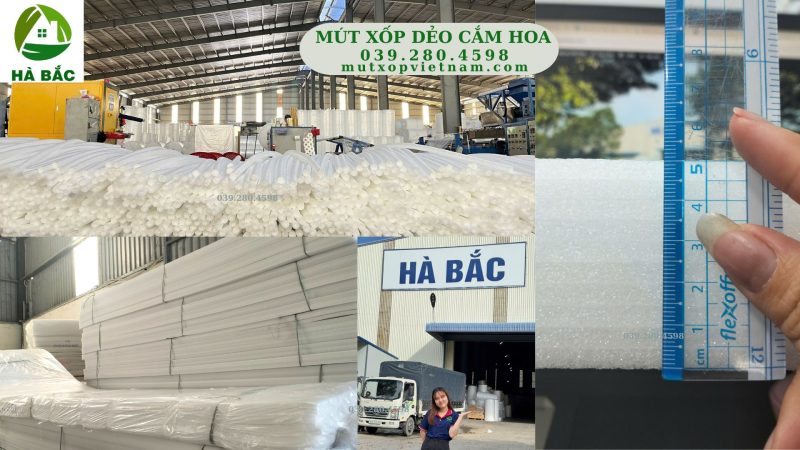 Mút xốp dẻo cắm hoa chất lượng cao giá rẻ nhất tháng 8 năm 2025 tại TP HCM