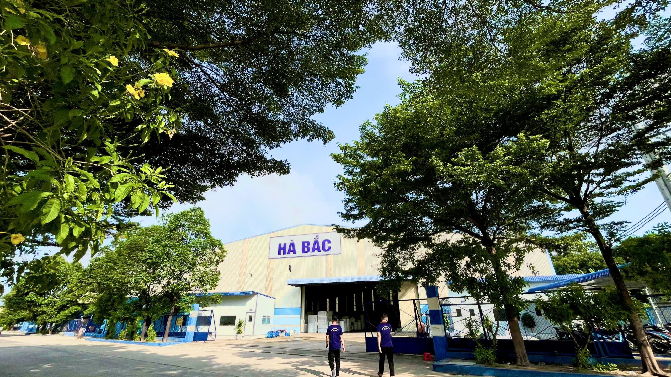 Công ty sản xuất mút xốp tai Việt Nam