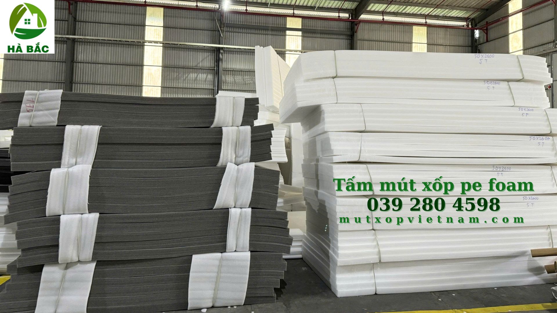 mut-xop-pe-foam-20mm