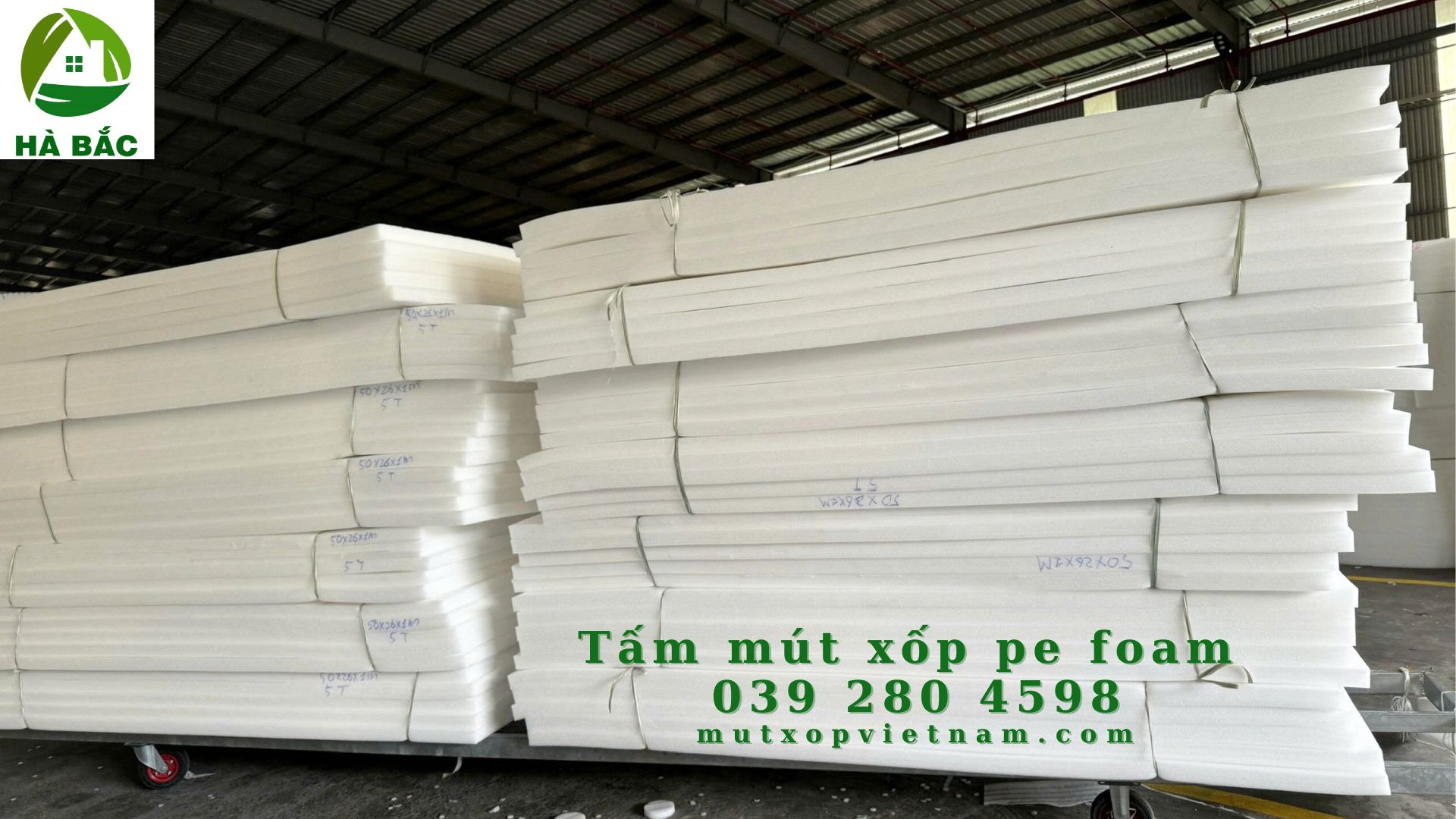 mut-xop-pe-foam-20mm