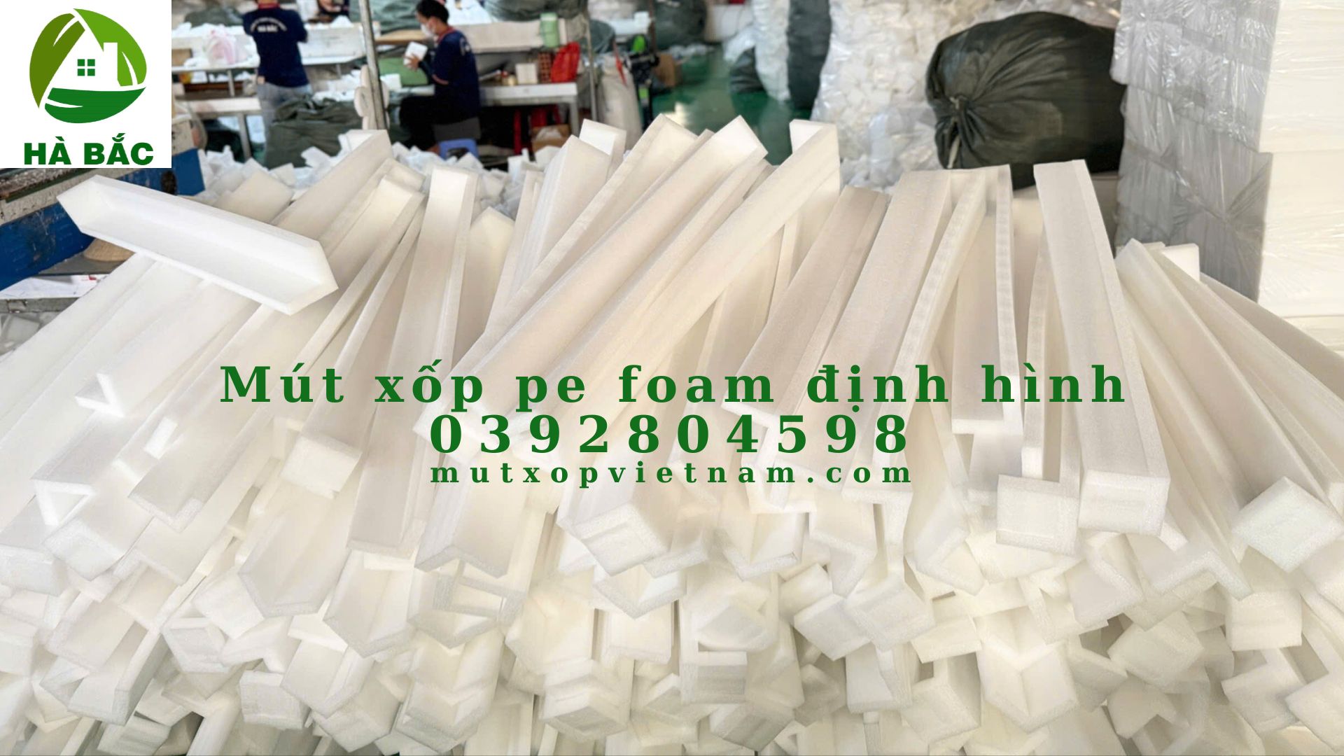mut-xop-pe-foam-dinh-hinh-dan-bia-carton mut-xop-pe-foam-dinh-hinh-dan-bia-carton