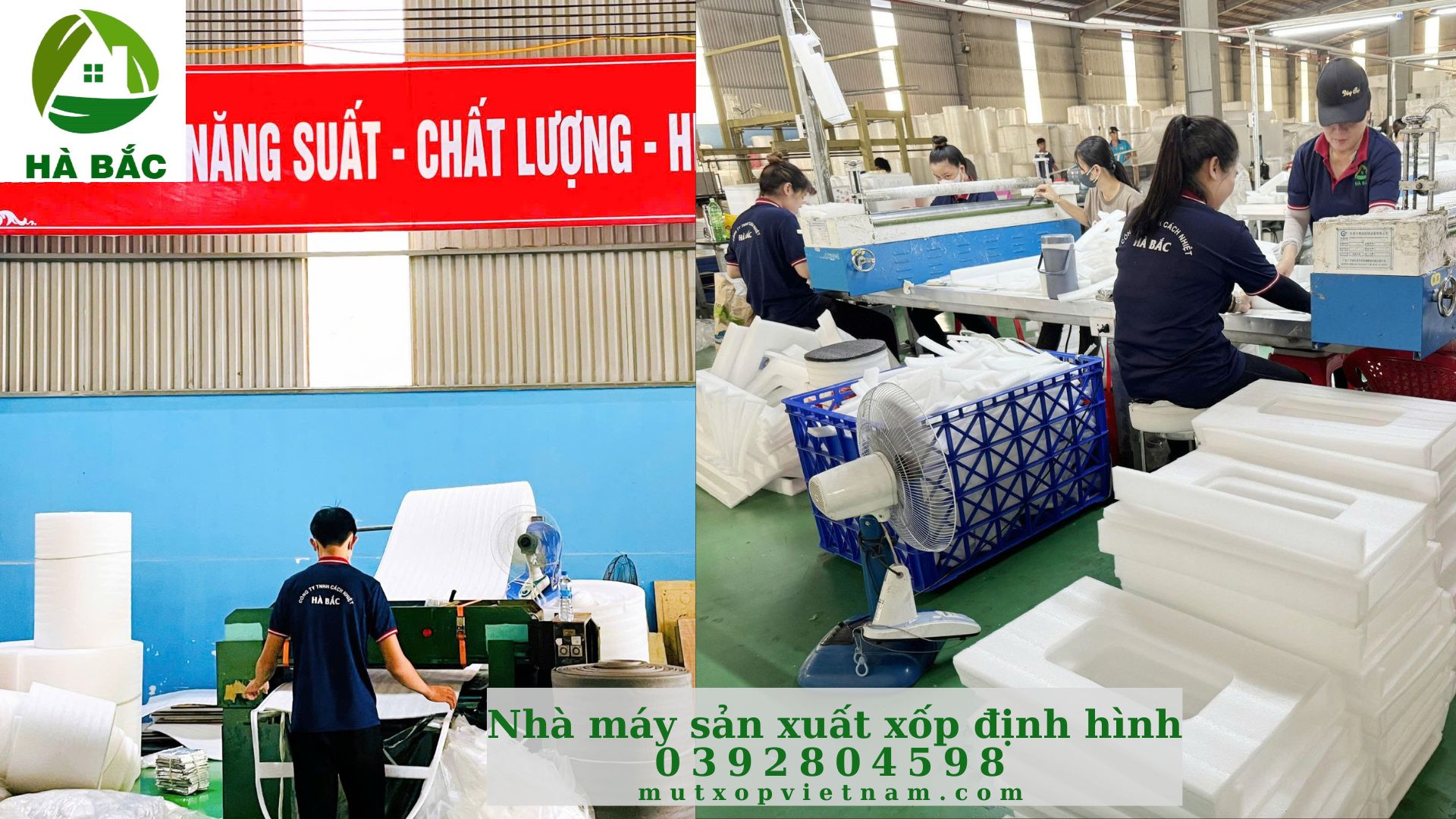 mut-xop-pe-foam-dinh-hinh-dan-bia-carton mut-xop-pe-foam-dinh-hinh-dan-bia-carton