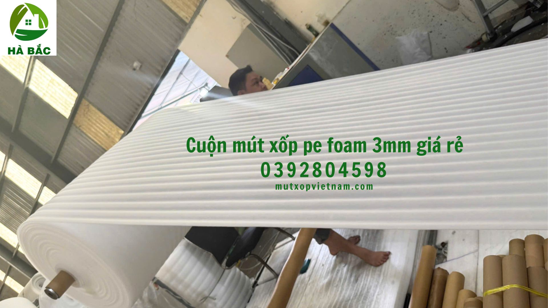 cuon-mut-xop-pe-foam-3mm-gia-re