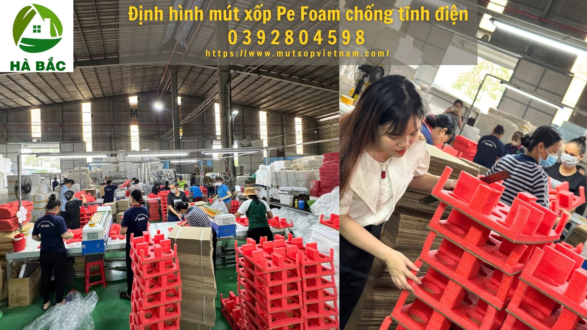 dinh-hinh-mut-xop-pe-foam-chong-tinh-dien dinh-hinh-mut-xop-pe-foam-chong-tinh-dien